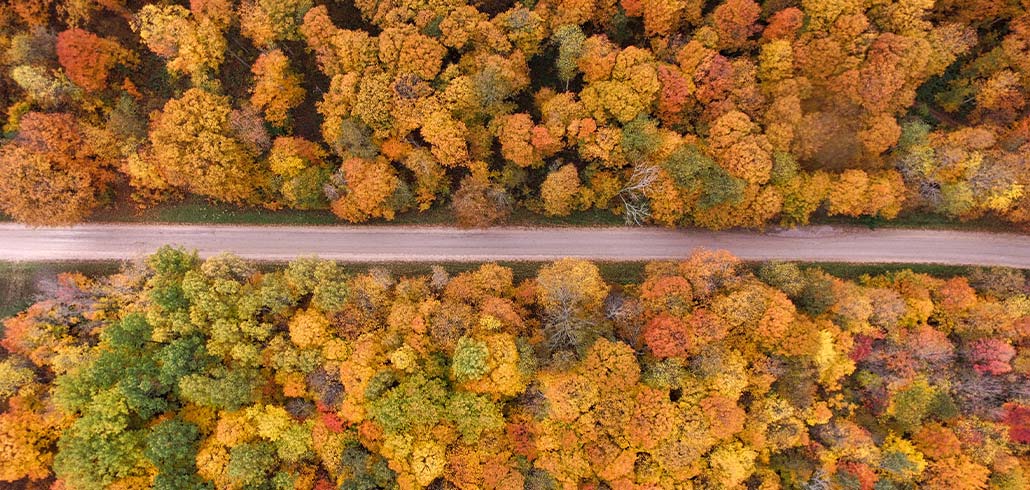 scenic fall drive 